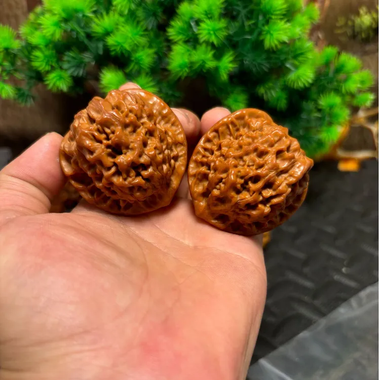 龙鼎官帽满肉桃心43尺寸到47尺寸随机发