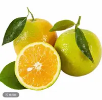 正宗云南青皮冰糖橙哀牢山新鲜应季水现摘皮薄多汁清甜-01