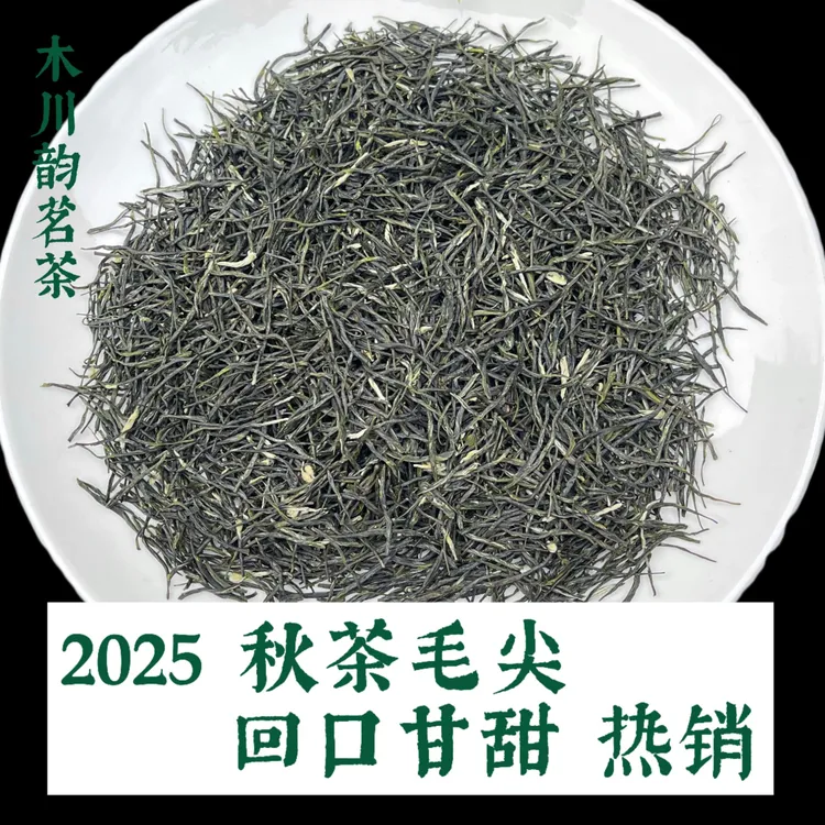 1号 【毛尖】浓香耐泡 回口甘甜