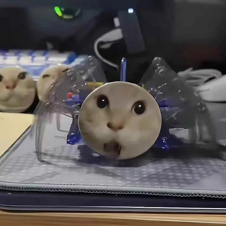 小学生科技制作耄耋猫蜘蛛机械器人手工diy材料实验套装玩具科学