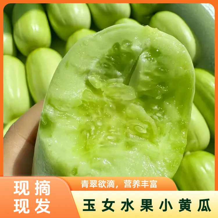 山东金童玉女小黄瓜 产地直发1斤/3斤/4斤/5斤脆甜爽口