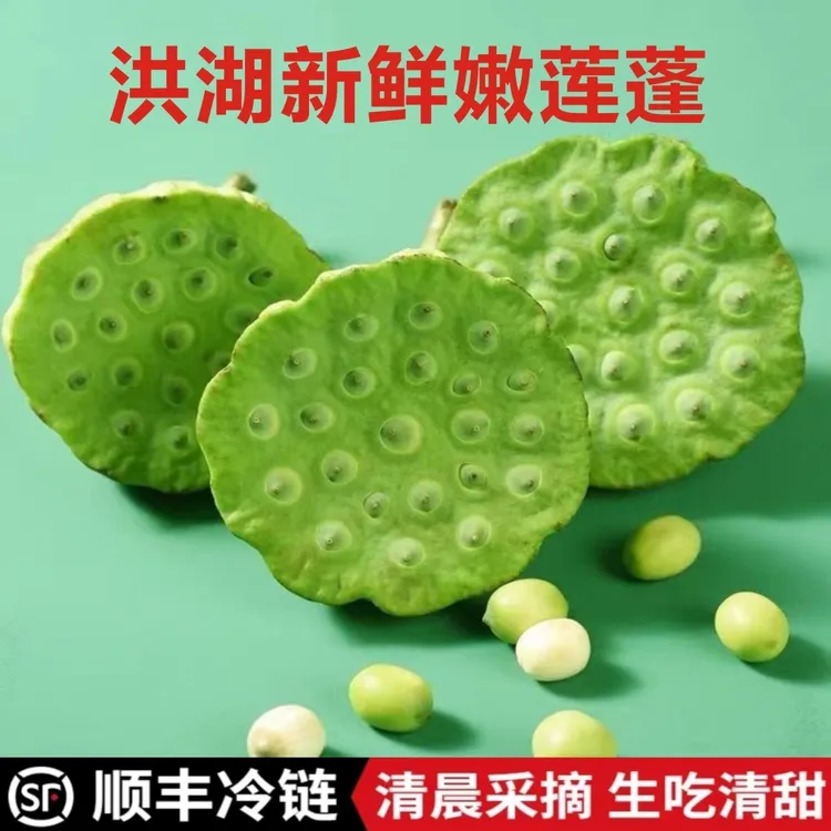 湖北洪湖农家自种莲蓬新鲜莲子米生吃清甜现摘莲蓬2斤3斤顺丰包邮