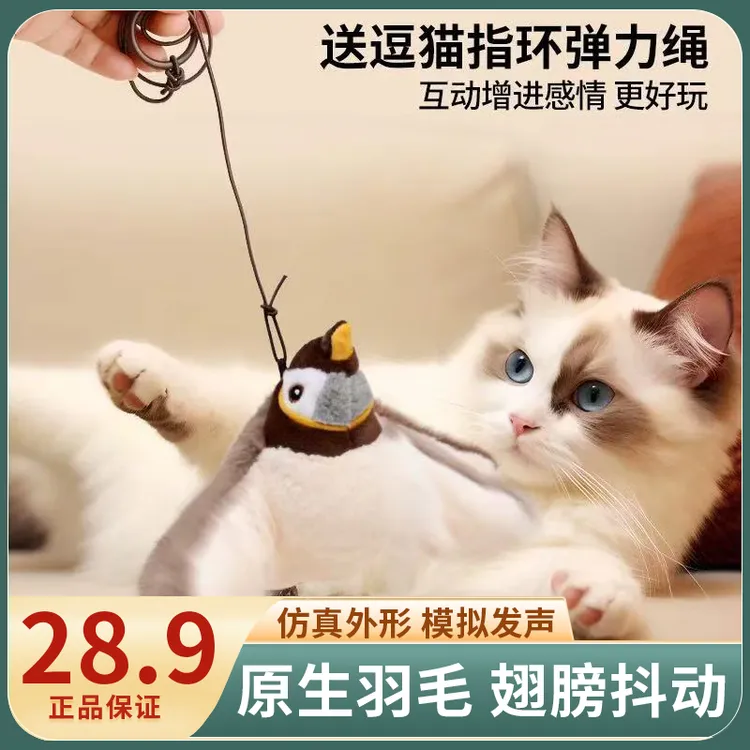 会飞的小鸟猫咪玩具仿真小鸟发声自嗨解闷电动小鸟逗猫小鸟玩具