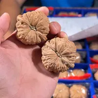 文玩核桃把件956号43mm南瓜墩