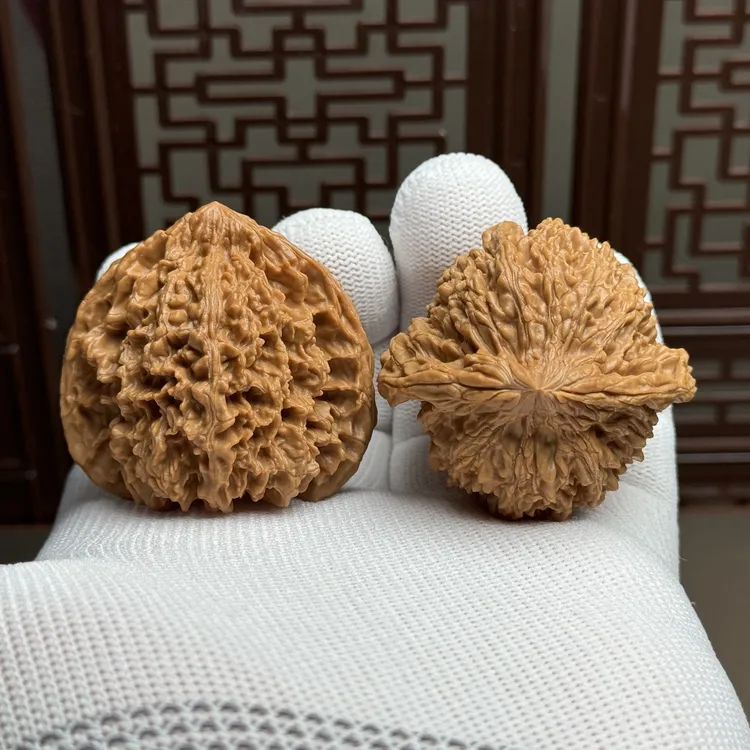 精选满天星狮子头，边43肚42高41，一代老树原桩满天星骨质好克重足