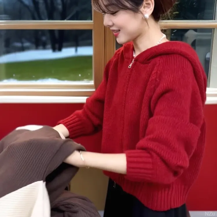 拉链复古红色毛衣女2025秋冬新款连帽设计感小众宽松针织洋气开衫
