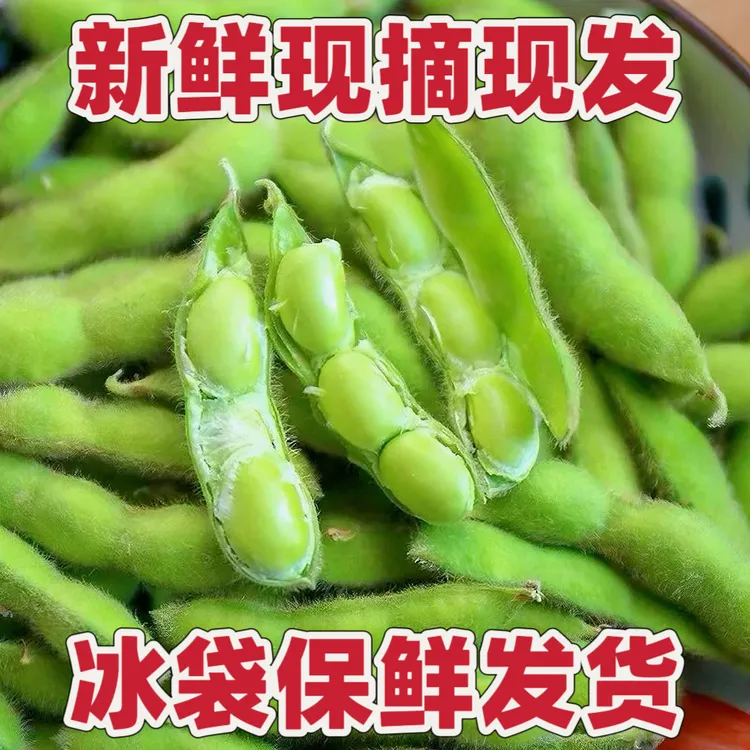 新鲜毛豆带壳现摘生毛豆荚嫩毛豆角青豆商用凉拌江西农村自种蔬菜