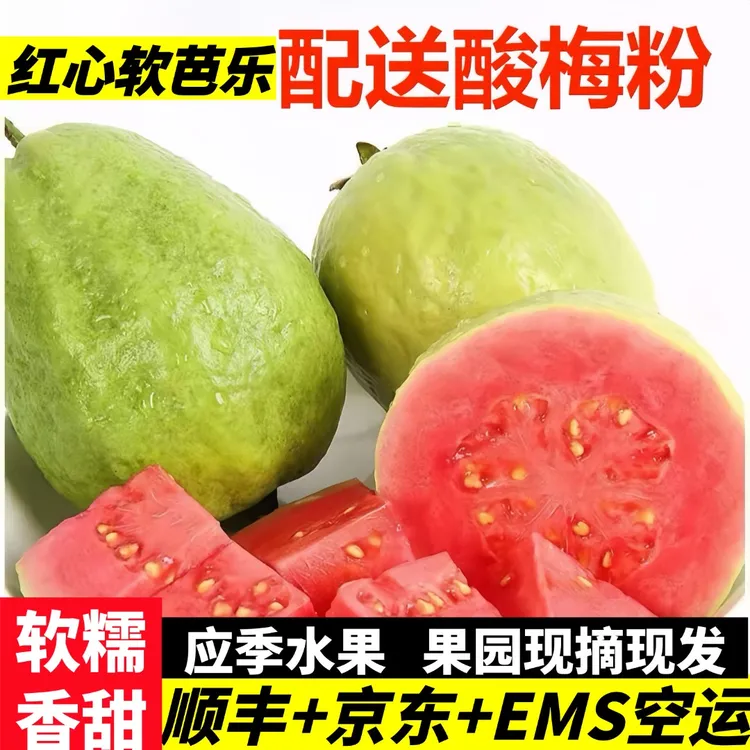 【软心芭乐大果】广西老树红心芭乐番石榴新鲜水果净重1/3/5斤包邮