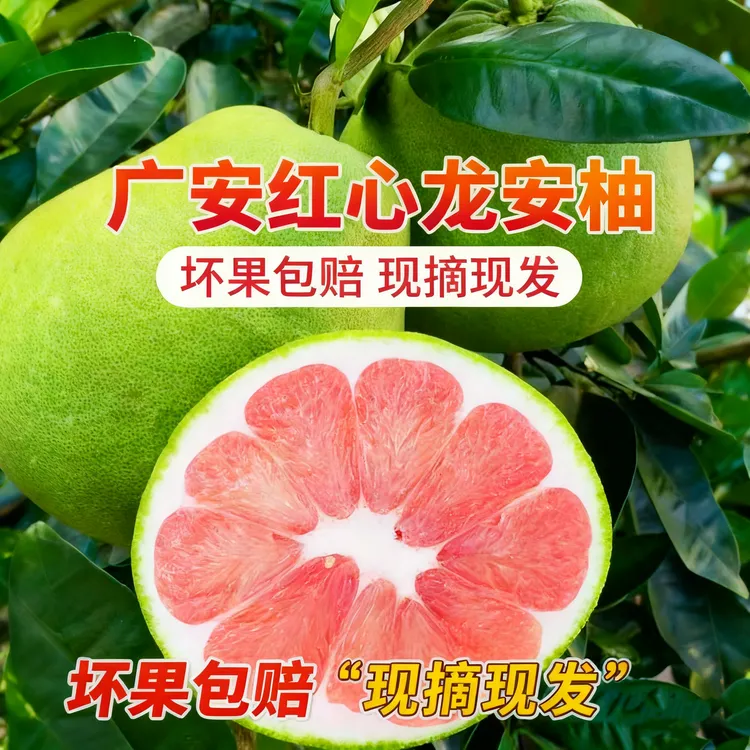 【广安红心龙安柚】正宗20年以上老树柚子新鲜现摘现发低糖卡龙安柚