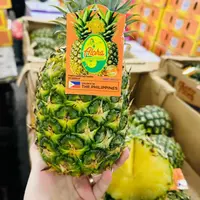 小树菠萝2个4-5斤