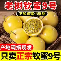 【百香果17枚】钦蜜9号黄金百香果新鲜水果