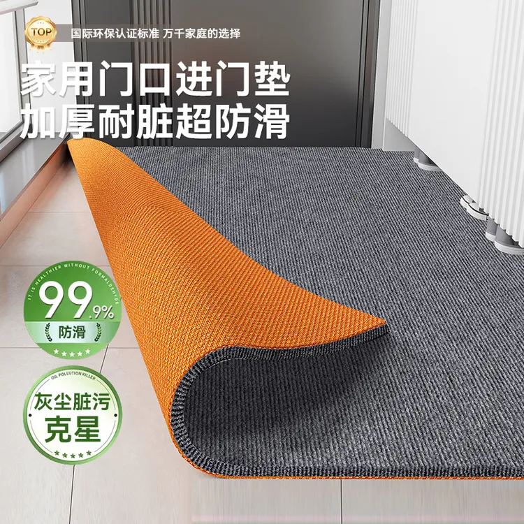 专用入户门地垫防滑耐脏门口家用门垫脚垫门外高级加厚地毯隔音