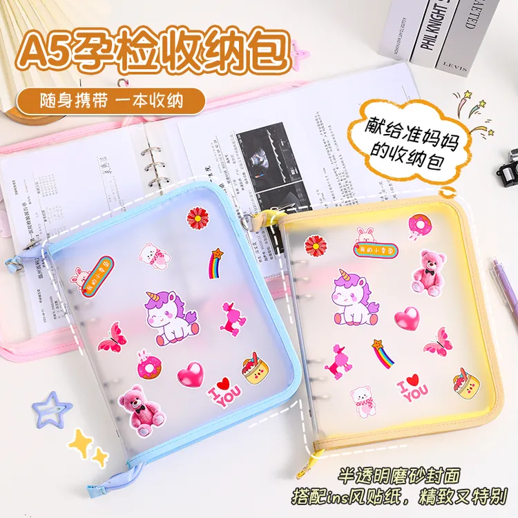 孕检收纳册孕检报告单孕期单子产检手册资料收纳孕妇初期用品孕期