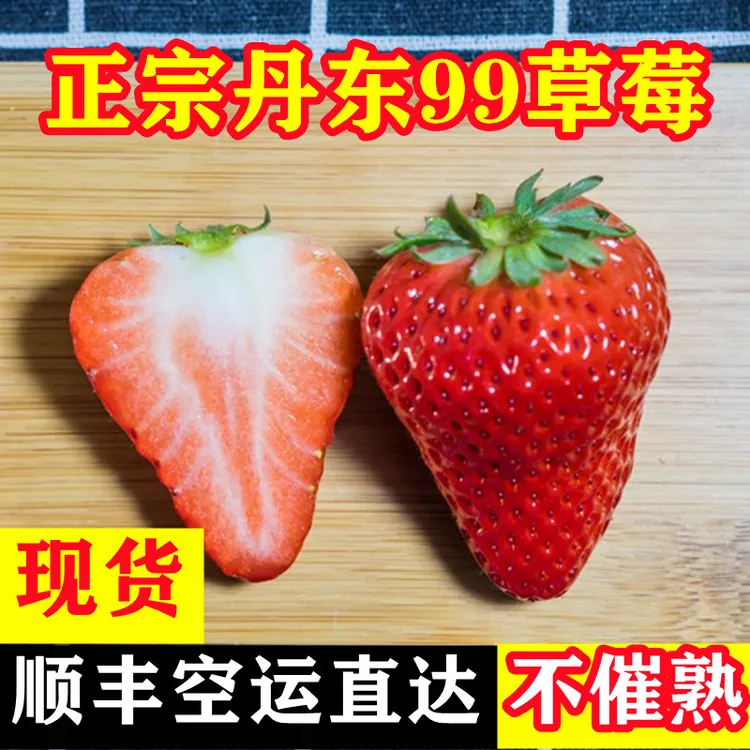 【现货秒发】丹东99草莓产地直发现摘现发九九久久红颜牛奶油顺丰包