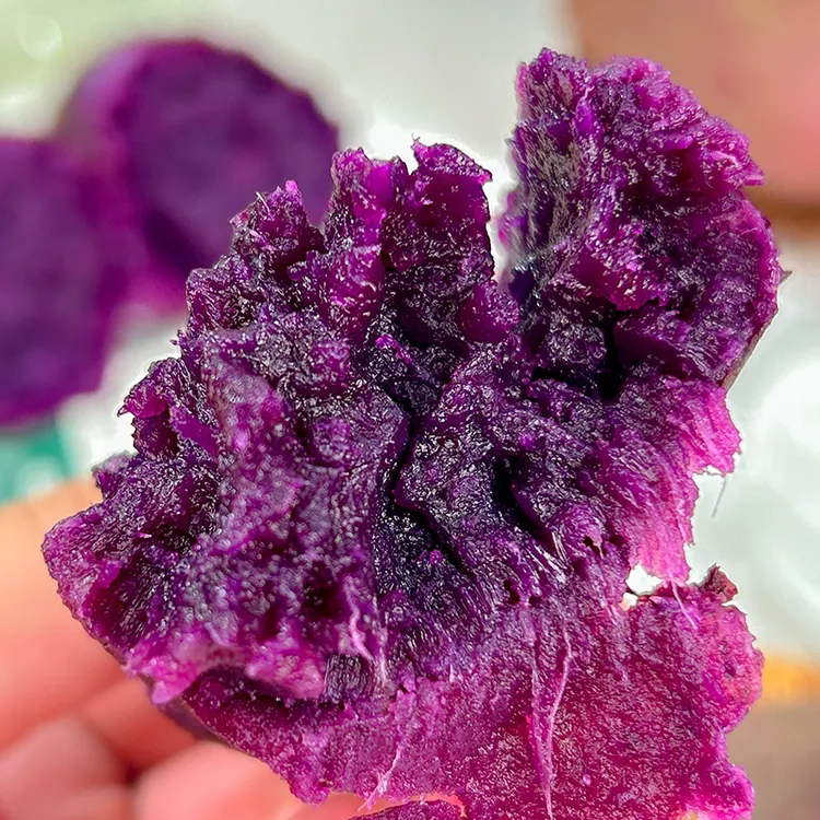 湖北紫罗兰紫薯粉糯甜粗粮健康食品紫美人蜜薯地瓜4.5斤中大果