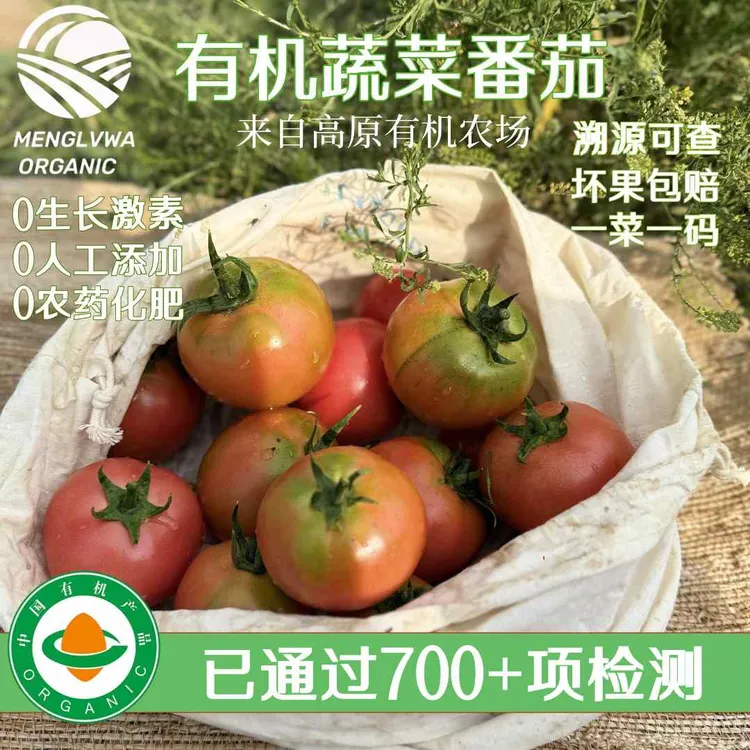 蒙绿娃有机菜西红柿沙瓤菜番茄 有机蔬菜番茄 中秋美食