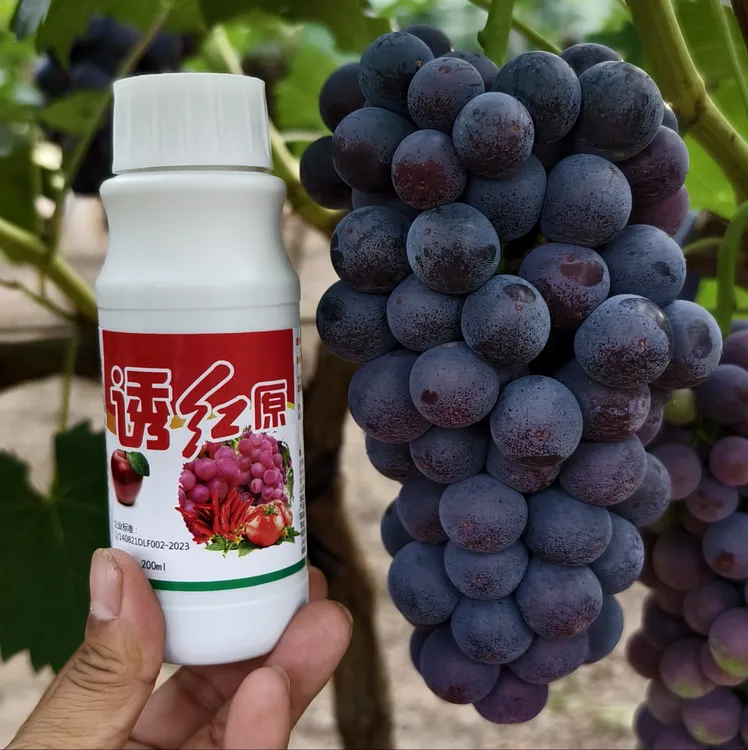 诱红原夏黑沪太巨峰葡萄红提上色增甜氨基酸叶面肥