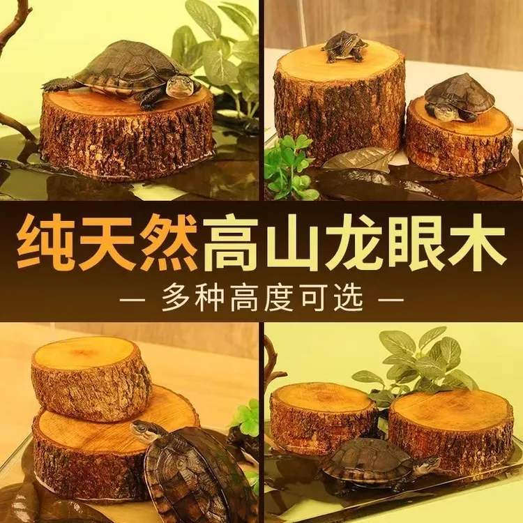 天然龙眼木乌龟晒台原生态养龟箱造景爬台稳定水质调节乌龟爬晒台