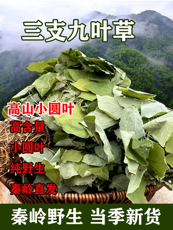 三枝九叶草秦岭小圆叶整叶【淫羊藿】精选新货泡茶泡酒煲汤的中药材