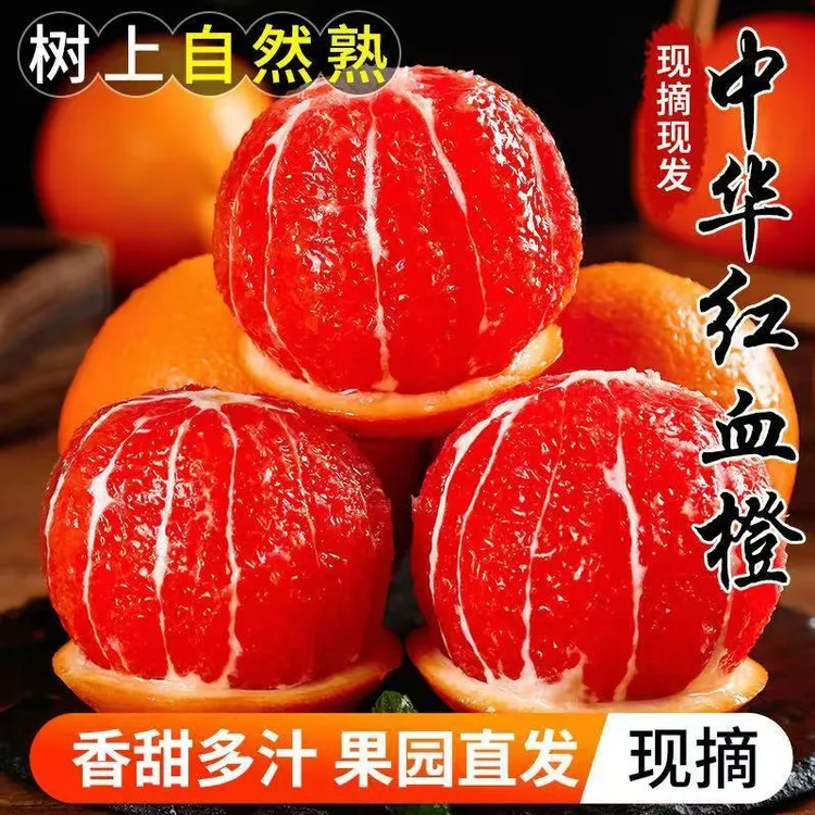 【吃红橙-走鸿运】秭归中华红橙子当季红心甜脐整箱红心