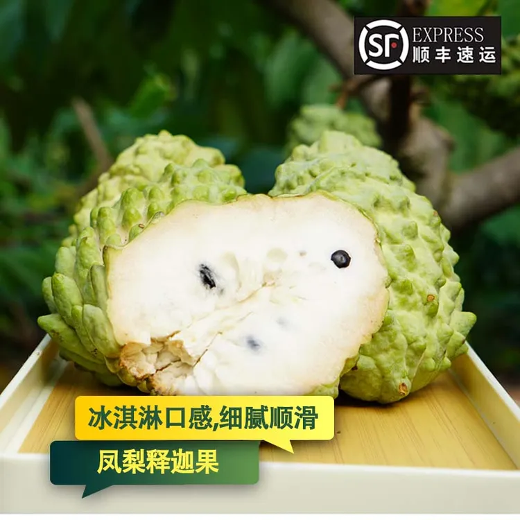 【顺丰包邮】广西凤梨释迦果3/5斤香软嫩滑精选送礼香甜口感番荔枝