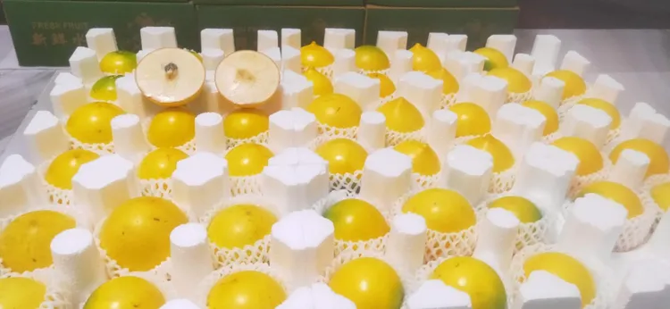 广东黄晶果高端水果黄宝石水果雅美果