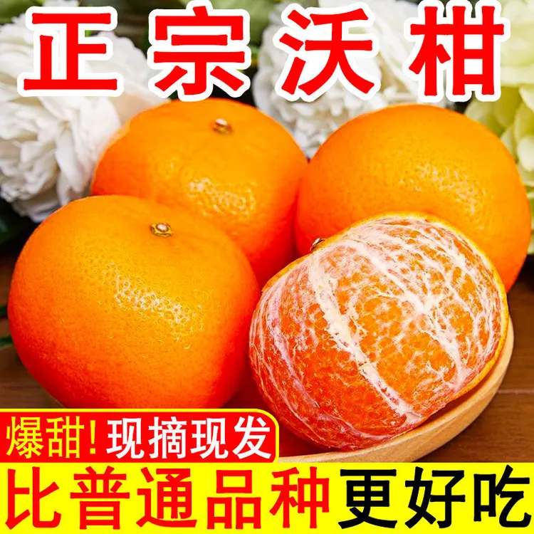 （福利品）云南高原沃柑70-75mm大果4.5-5斤包邮