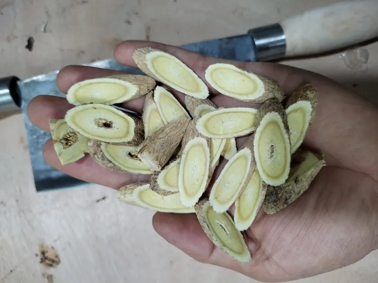现切现卖甘肃10年老黄芪当季新货自然晾晒产地直发煲汤泡水炖肉