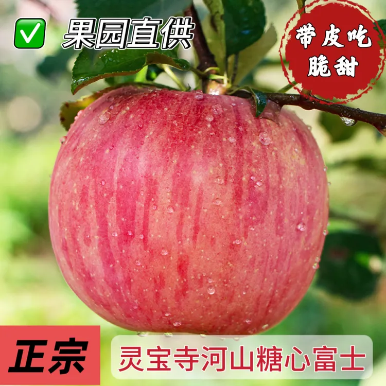 灵宝寺河山水晶糖心红富士苹果当季现摘苹果产地直发寺河山苹果
