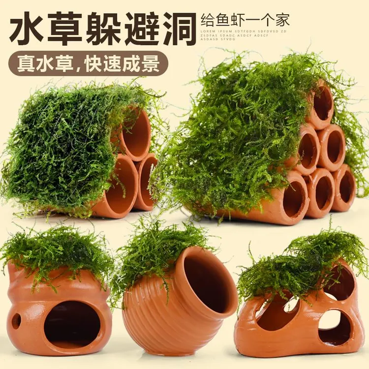 莫斯陶罐水草鱼缸造景真植物鱼虾躲避罐洞虾屋摆件小鱼繁殖躲避屋