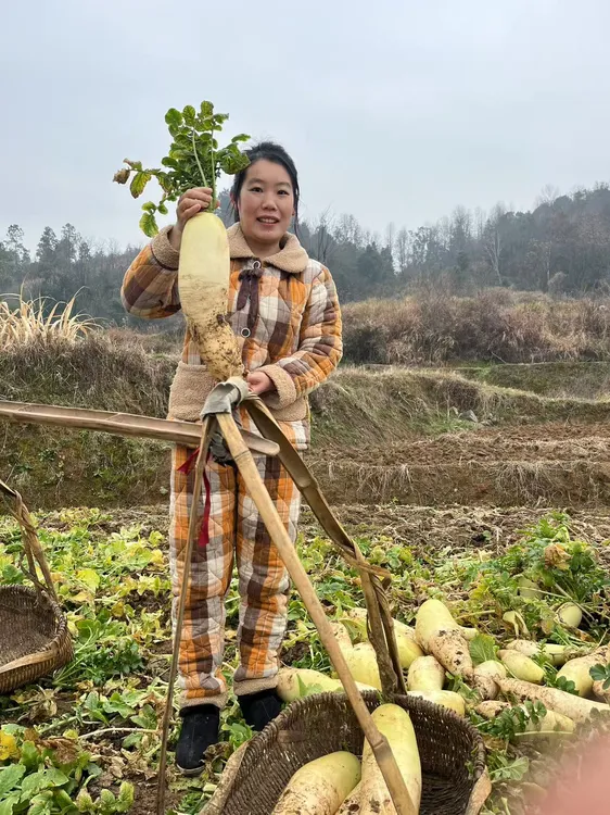 湖南邵阳农家特色无油香辣萝卜条