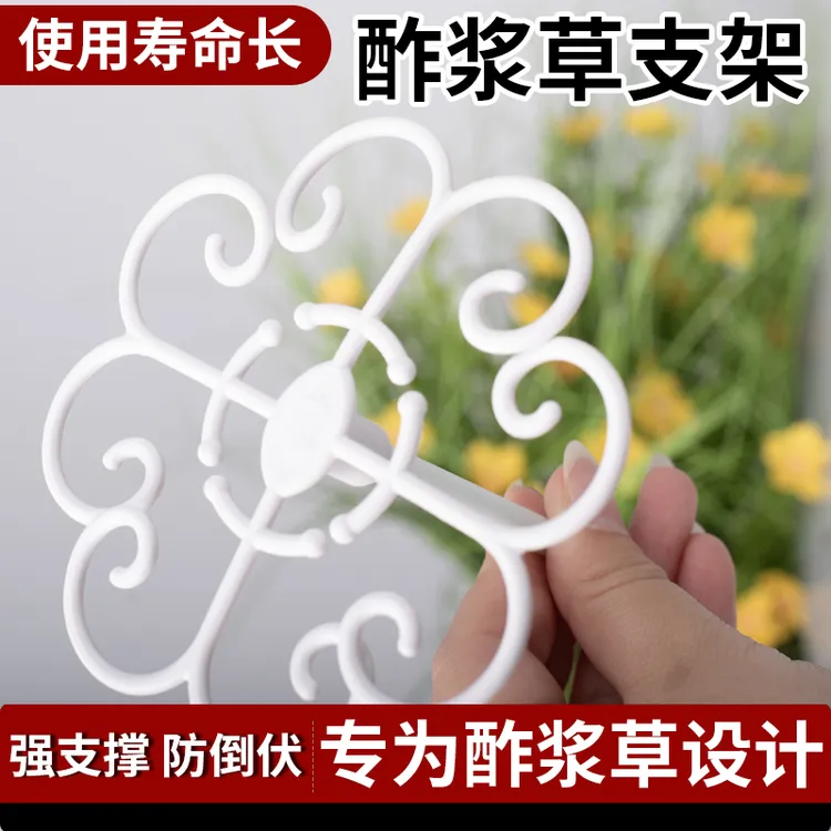 酢浆草早花太阳花专用园艺支架防倒伏固定造型塑形支撑工具花架