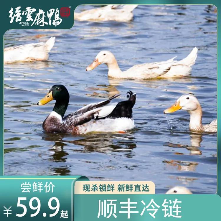 【仙都绿谷】缙云麻鸭生鲜仔麻鸭每只1000克净膛顺丰冷链