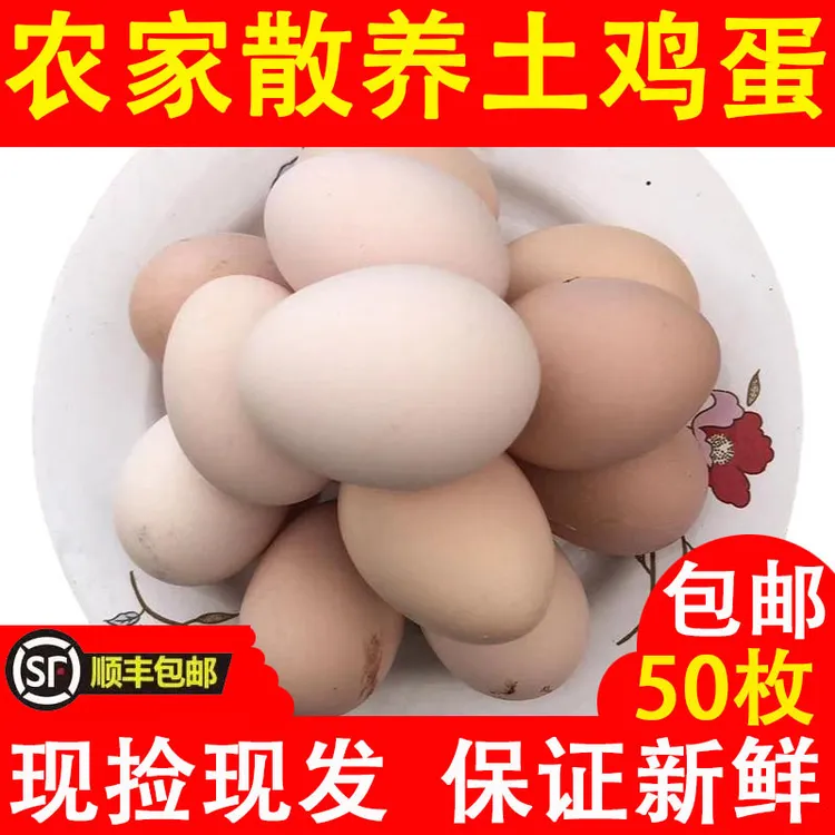 正宗散养土鸡蛋50枚新鲜农家放养土鸡蛋新鲜五谷野草喂养营养丰富