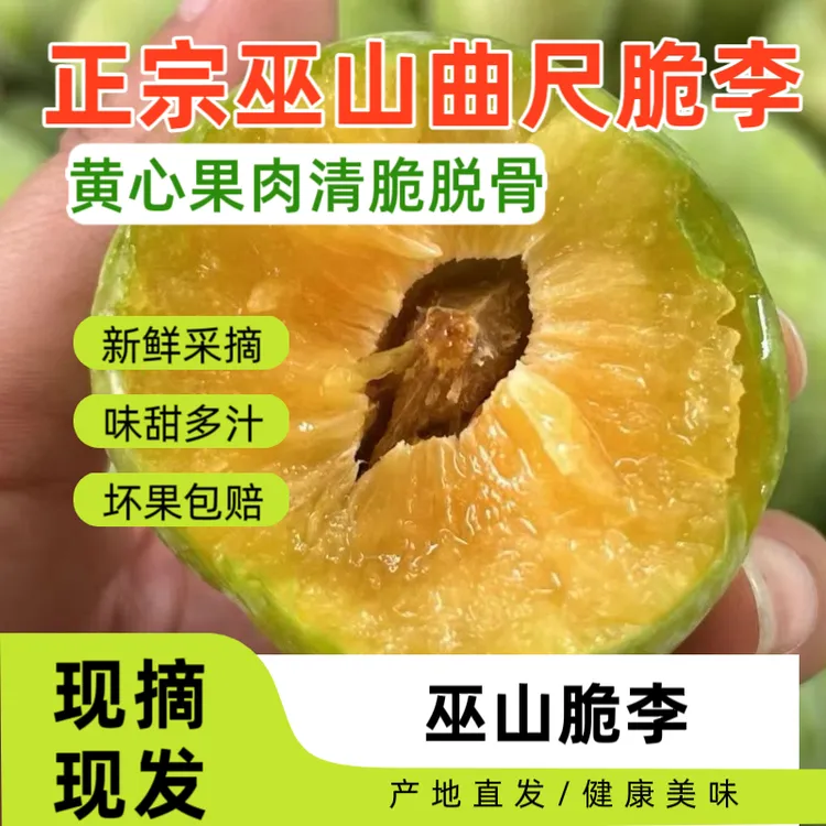 正宗巫山脆李新鲜应季水果脆甜美味脱骨果园直发空运冷链运输李子