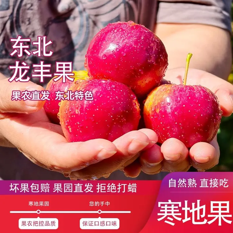 黑龙江龙丰小苹果酸甜脆爽新鲜采摘应季水果原产直发农户不打蜡