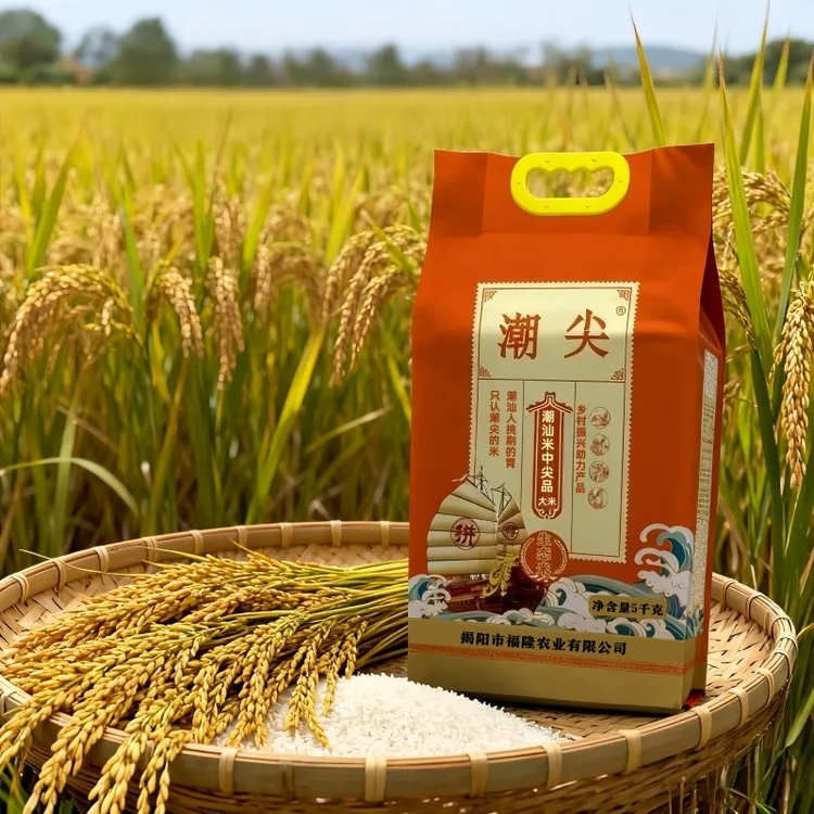 潮汕揭阳潮尖丝苗米2025年当季日晒新鲜19香大米