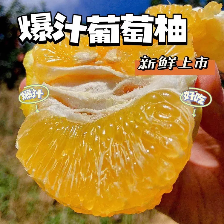 现摘福建漳州黄金爆汁葡萄柚新鲜应季孕妇水果柚子3/5/9斤清甜