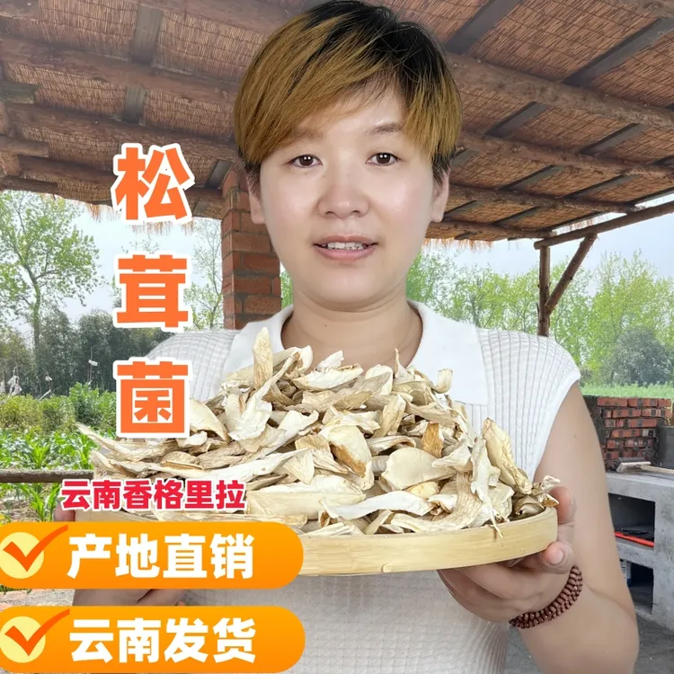 正宗云南特产香格里拉松茸干片松茸菌滋补煲汤料产地直销云南发货
