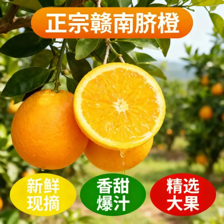 【村房土选精选】赣南脐橙江西橙子皮薄肉厚孕妇宝宝老人新鲜现摘