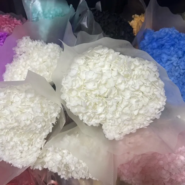 a级永生绣球花头饱满手工花店diy节日送礼