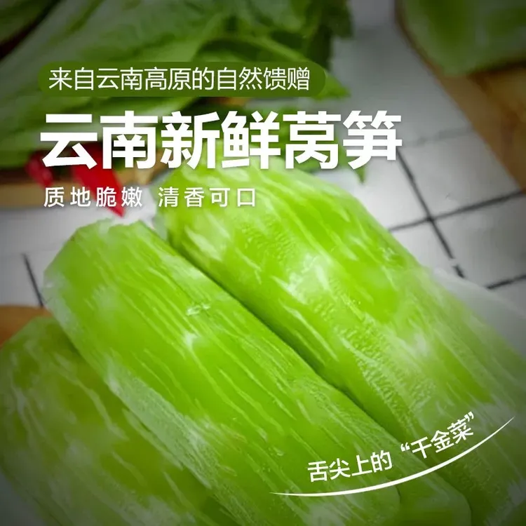 果初山云南高山种植紫叶莴笋新鲜现摘当季时令蔬菜