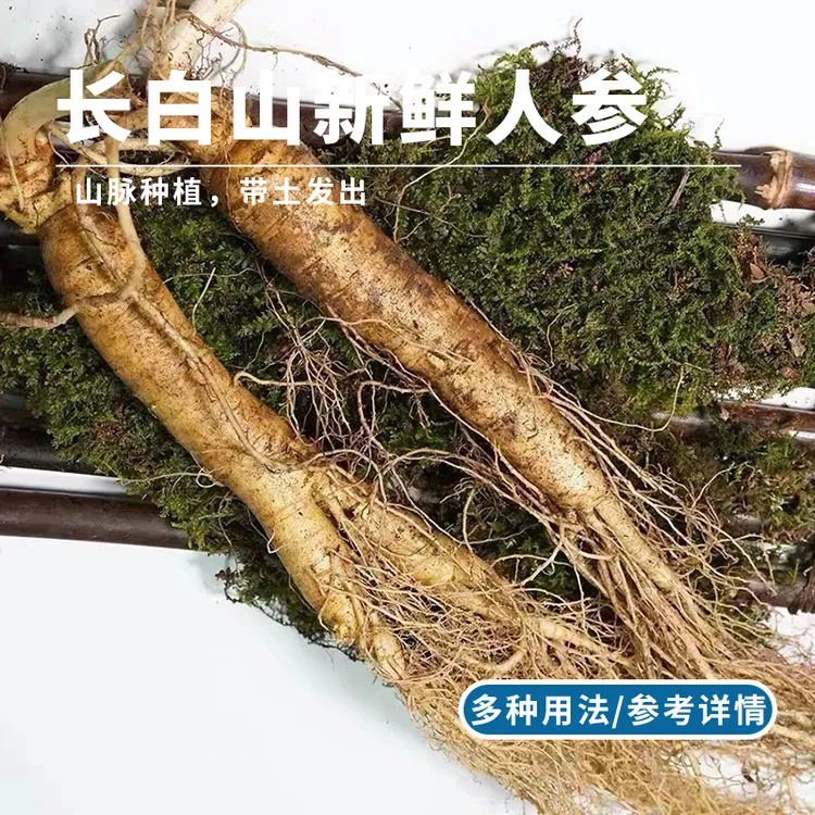 吉林长白山新鲜人参地道产地直发煲汤炖鸡泡酒送人带土东北送人
