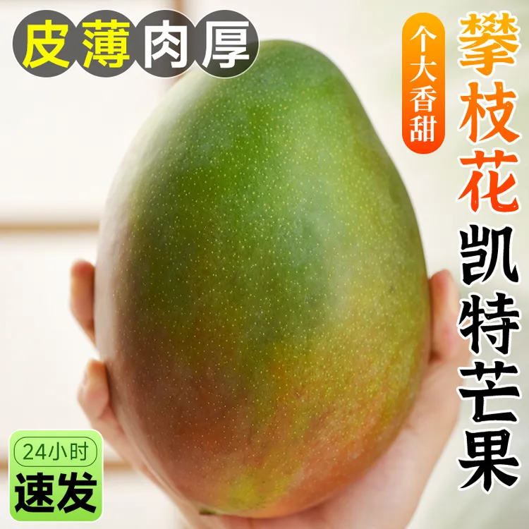 攀枝花凯特芒新鲜芒果当季现摘水果整箱四川忙果甜青皮大澳芒包邮