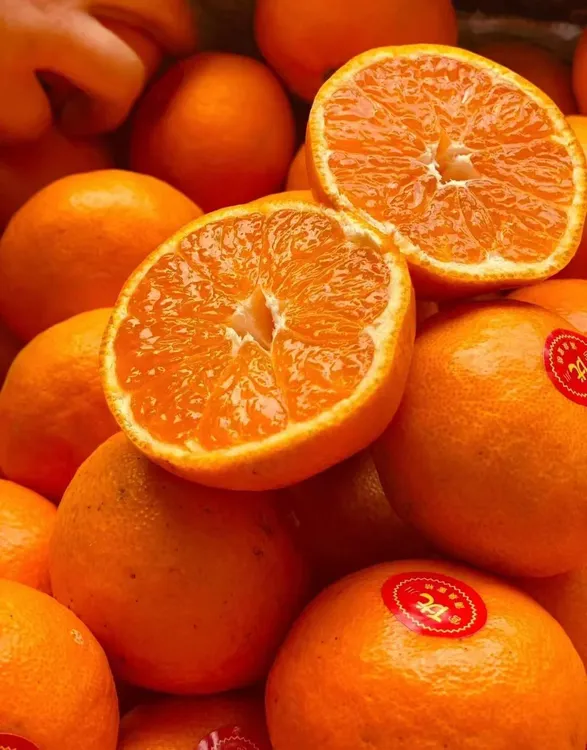 浙江涌泉蜜桔新鲜现摘应季水果香甜多汁无籽5-10斤装江浙沪皖包邮