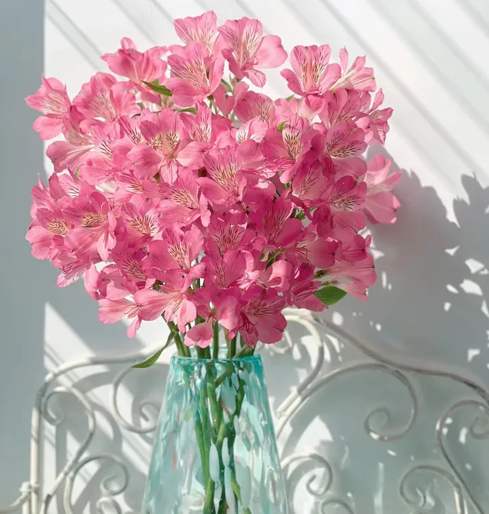 【优选】鲜花水仙百合六初花基地昆明全国可家庭商务水养插花家用