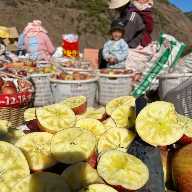 东北内蒙链接 顺丰包邮大凉山冰糖心丑苹果 现摘现发5/7/8斤