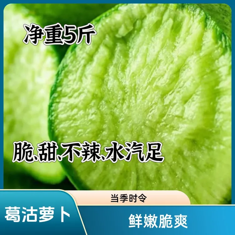 葛沽萝卜5斤装，脆甜不辣