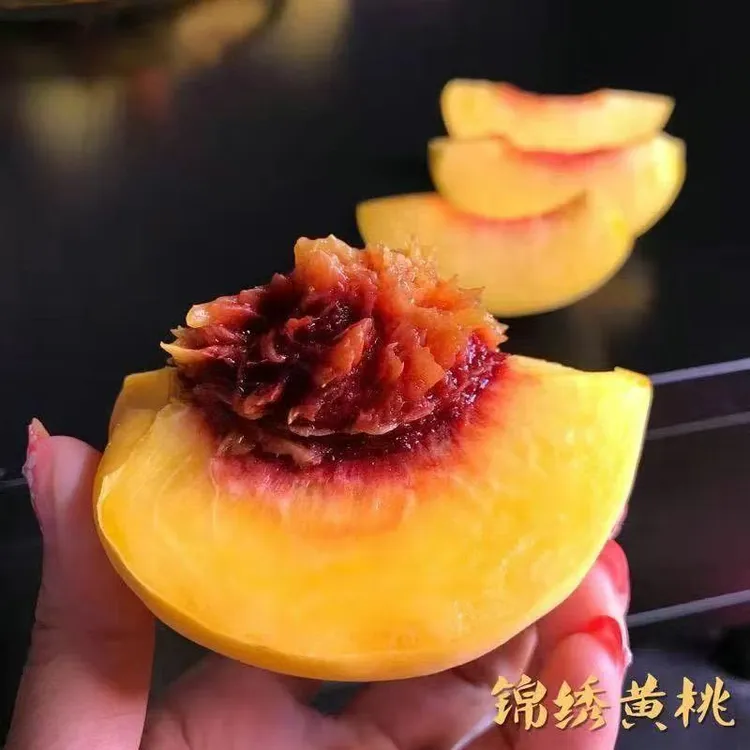 顺丰京东 正宗嘉善锦绣黄桃 姚庄黄桃 红心黄桃 皮薄肉厚香甜多汁