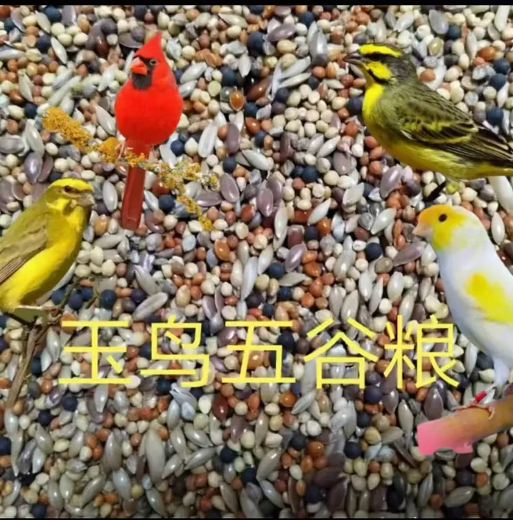 玉鸟丝雀混合粮《五斤装》12种新粮科学搭配